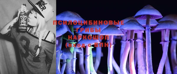 прущая мука Абаза